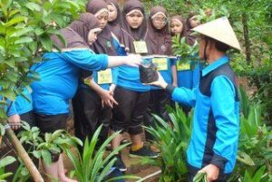 petani,pertanian,argowisata