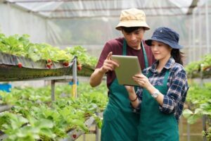 petani,pertanian,urban farming