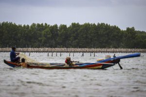 KKP Cek Pagar Laut Bekasi, Ternyata Sudah Disegel