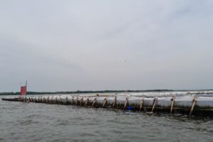 Penampakan Terkini Pagar Laut di Bekasi, Sudah Disegel KKP