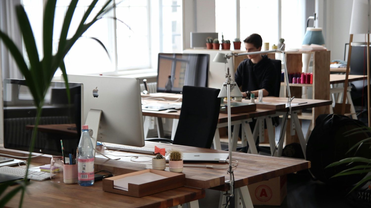Rahasia Sukses Daftar PT/CV dengan Shared Office Tanpa Ribet